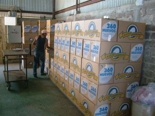 Global Trading Pty Ltd Global Trading Pty Ltd, Johannesburg, Gauteng, 2004