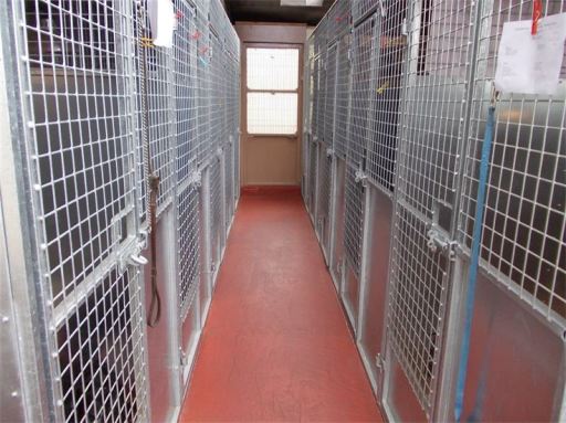 boarding kennels nottingham