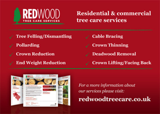 REDWOOD Tree Care Professional service in all areas of tree surgery.