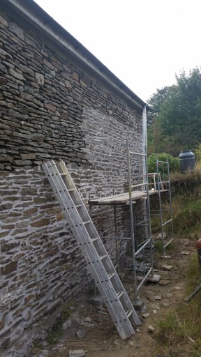 Lime Pointing