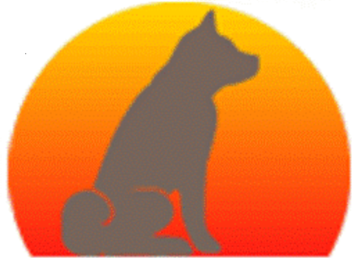 Storm Force Security