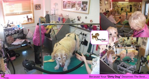 Dirty Dogs Studio