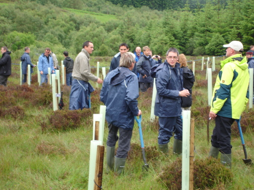 The Highland Titles Charitable Trust for Scotland organises tree planting