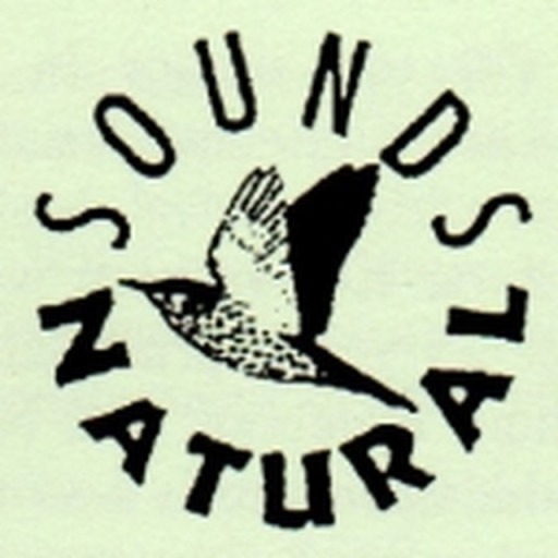 image0