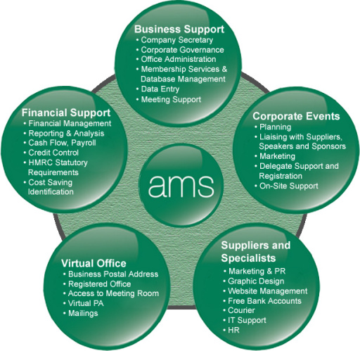 Our Services