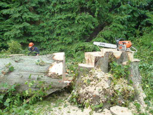 image0