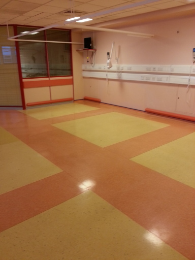 Strip, Re-seal, Restore Floor and Polish Floor
