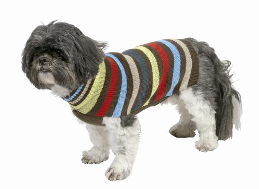 Dog Jumper