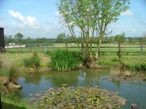 image0