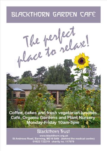 Blackthorn Cafe, fresh organic lunches in relaxing garden surroundingd