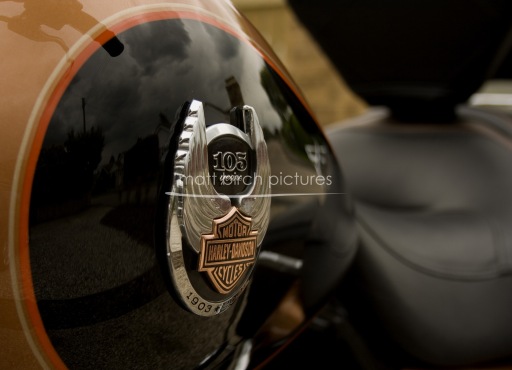 Harley Project from Photography in Essex