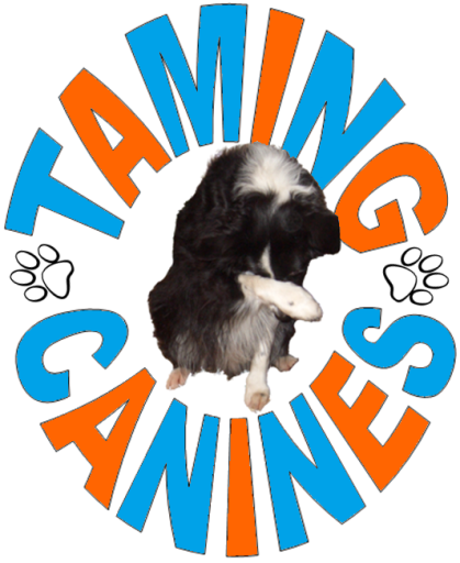 Taming Canines