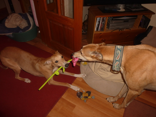 ITS MINE OH NO IT ISNT