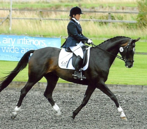 Fatila - Julie Blanchard Dressage Trainer