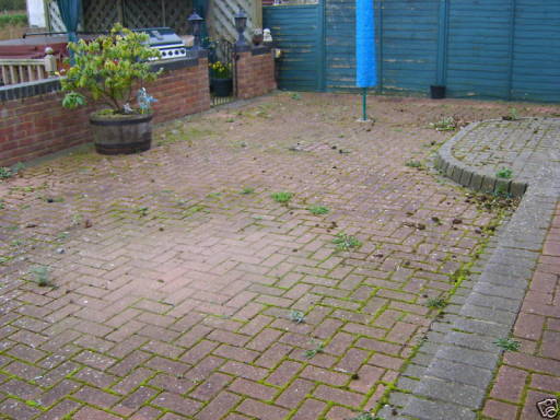 Before Cleaning of driveway