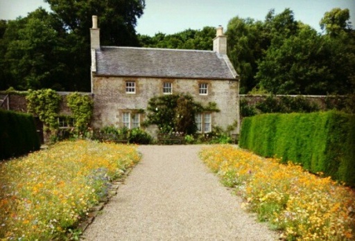 image0