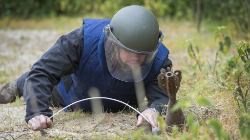 ISSEE EOD training
