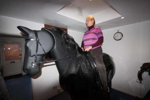 'Barney' the riding simulator