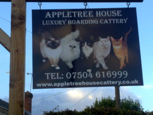 Apple tree house Boarding Cattery