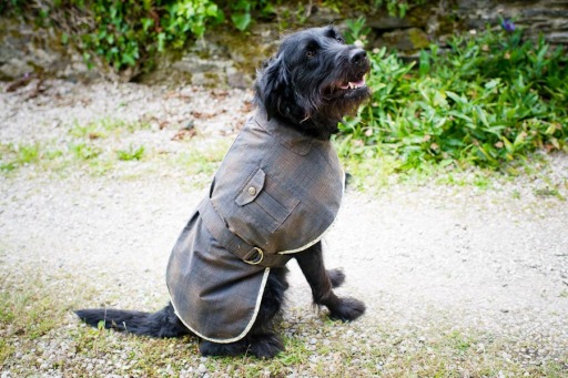 waterproof dog coat