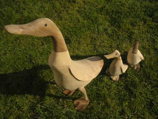 Worldofducks.com