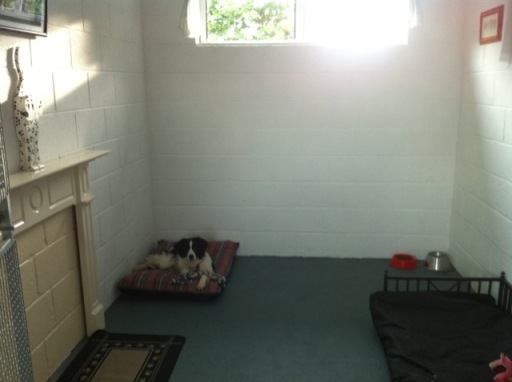 VIP Dog Motel - boarding kennels - Workington, Cumbria.