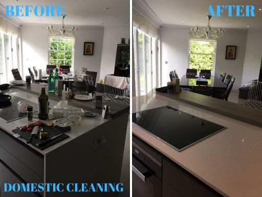  Domestic Cleaning 