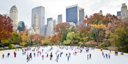 Book your Christmas Shopping trip to New York