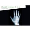 David Stinson & Co