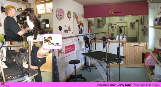 Dirty Dogs Studio