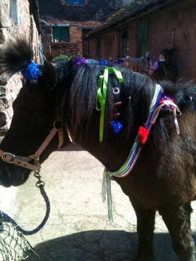 Pony parties
