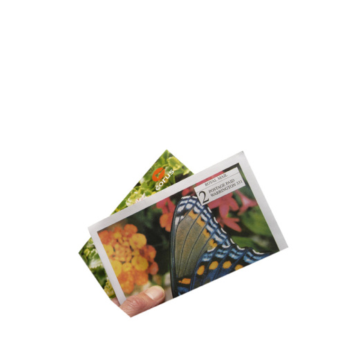 interesting mailing piece that included a wind-up butterfly