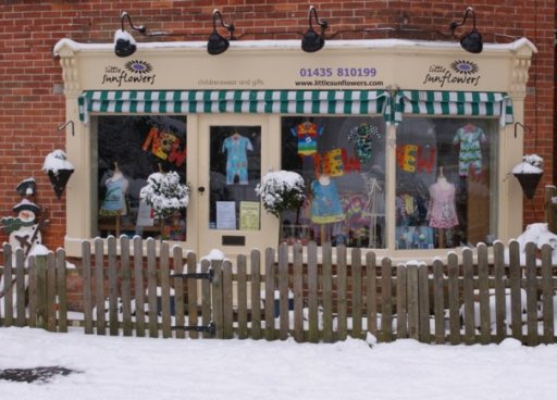 Little Sunflowers Shop - Horam, East Sussex