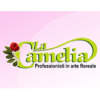 La Camelia di Migliore Salvatore