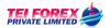 TEI FOREX Logo