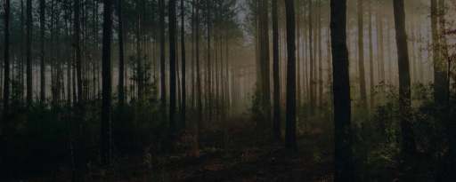 Pinerock Header