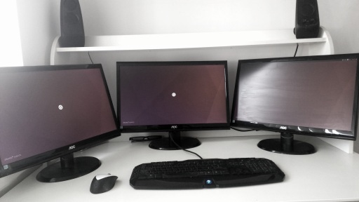 Website Developer