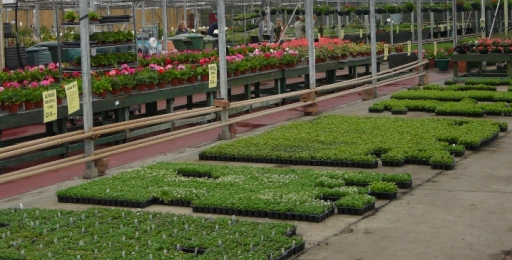 image0