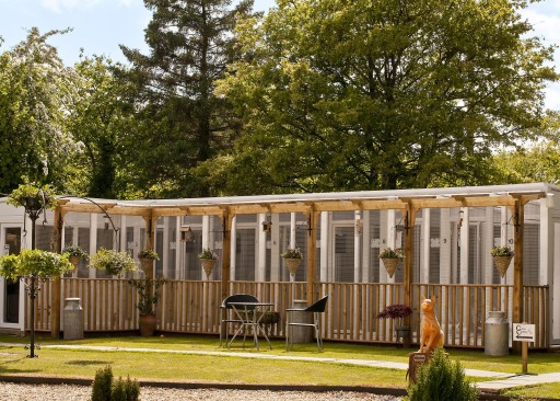 Celtic Cattery, Forest of Dean, Gloucestershire