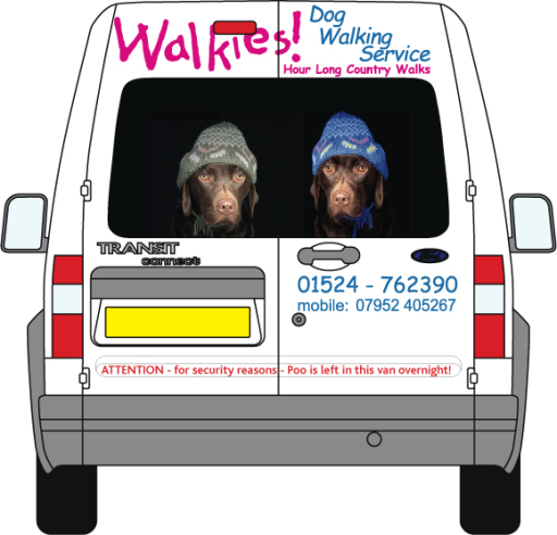 our customised van so your dog travels in safety and comfort