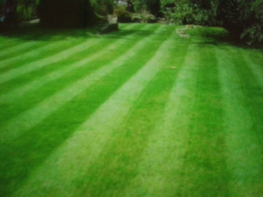 image1