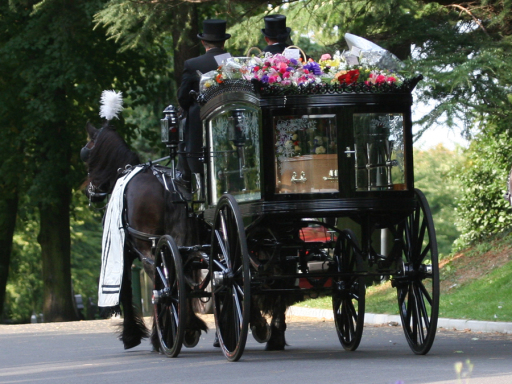 Horse drawn funeral carriage