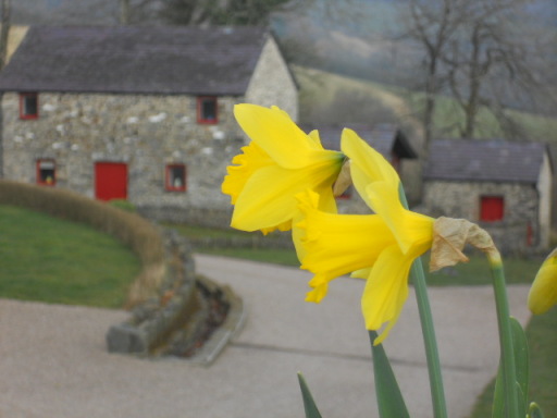 Treberfedd Farm Holiday Cottages