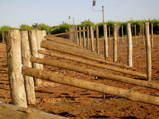 Vineyard, angle assemblies