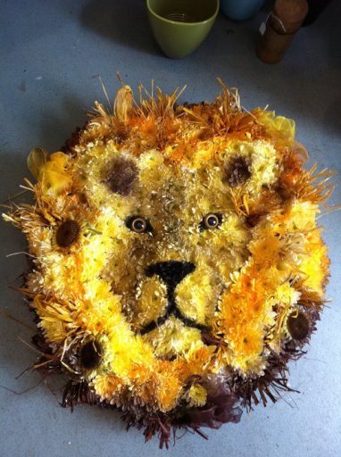 Amazing lion