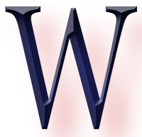 wisephotoNs - Professional Wedding Photography