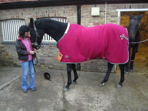 At one with your thoroughbred