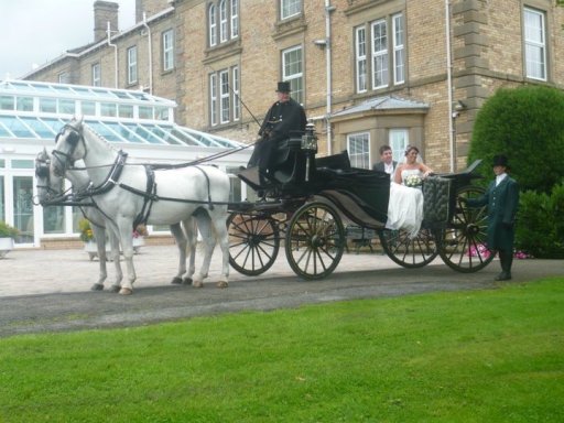 Wedding carriage with grey horses