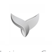 Platinum Cars