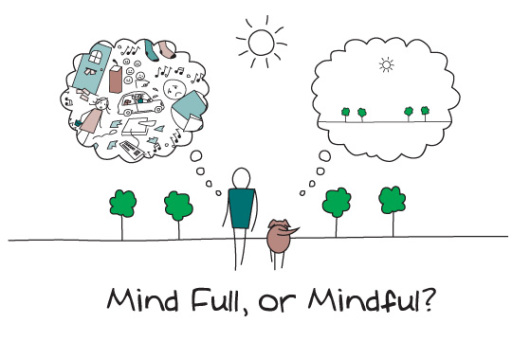 Learn Mindfulness techniques